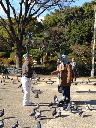 Illustration for article titled Japan Is Good at Pigeon Masks
